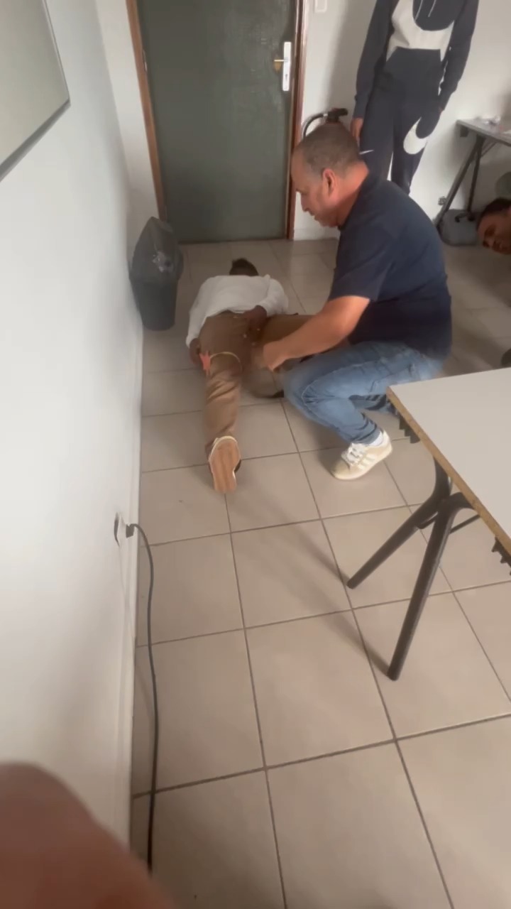 🐯🤣⛑️ "Appelez les ...
