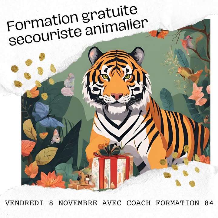🐯🐾🎁 Un cadeau spécial...