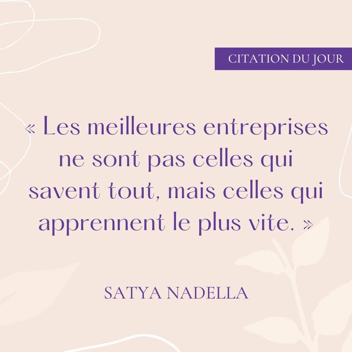 🐯💡 « Les meilleures...