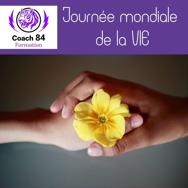 🐯🌍 Aujourd'hui, nous...