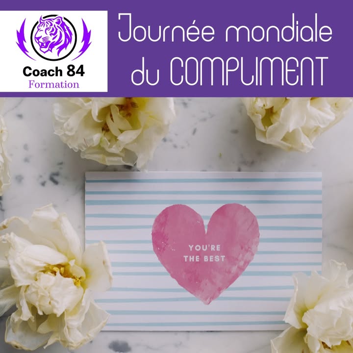 🐯✨ Aujourd’hui, on ...