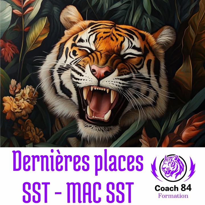 🐯⛑️ DERNIÈRES PLACES...
