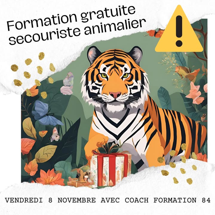 🐯🐾🎁 A l’occasion ...