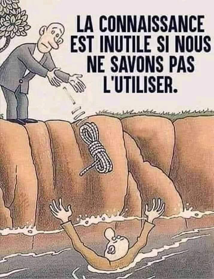 🐯✨ « La connaissance...