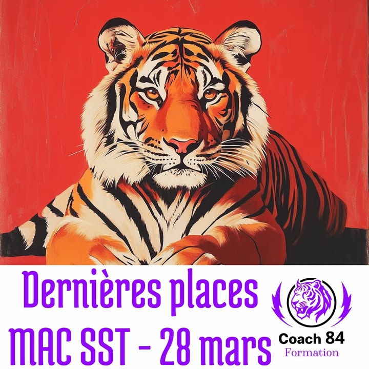 ⏳🐯 DERNIÈRES PLACES...