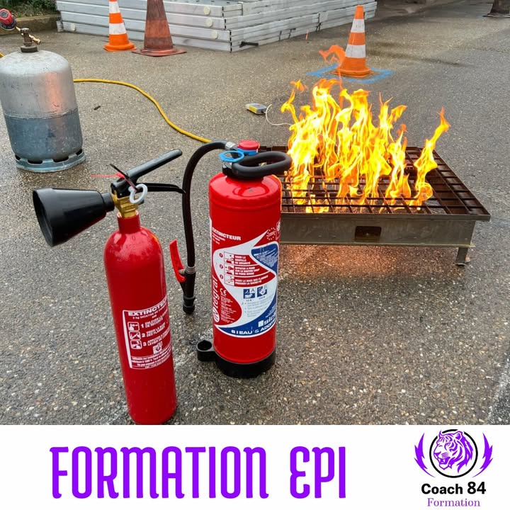 🐯🔥 Un départ de feu...
