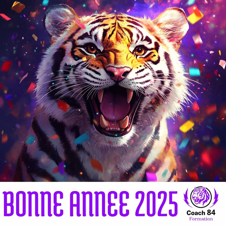 🐯🎉 Bonne année 202...