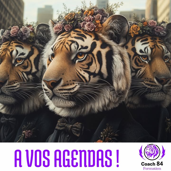 🐯🚀📅 Nos prochaines...