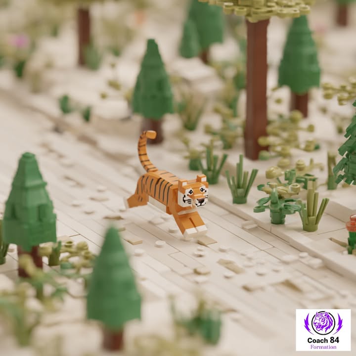 🐯🧱 Pas à pas, brique...