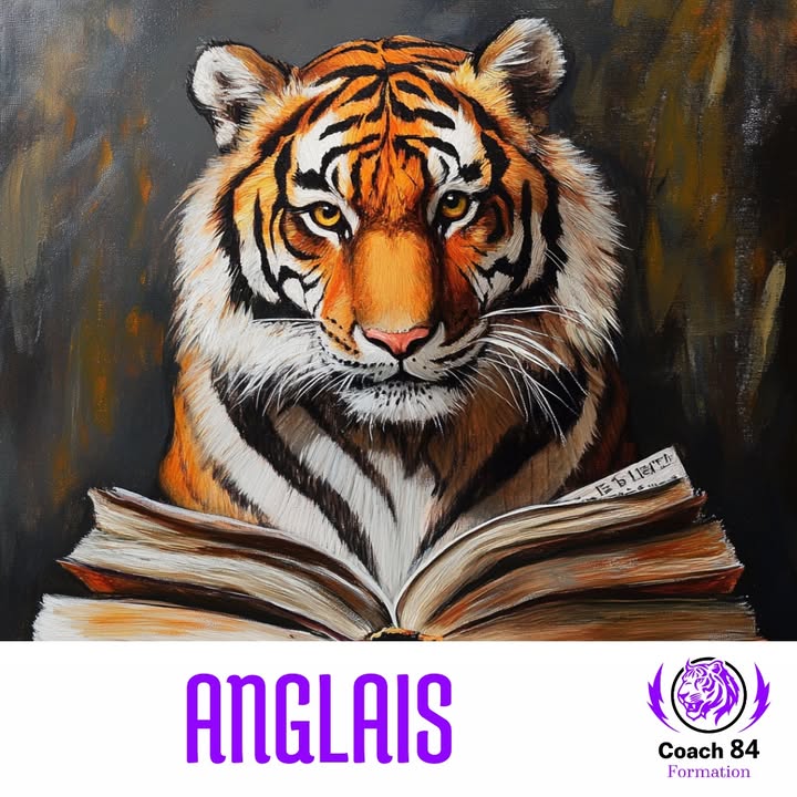 🐯💬 Envie de maîtriser...